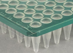 Produktfoto: 100 Blatt adhäsive PCR-Klebefolie, klar, mit extra dicker Acrylat-Klebeschicht